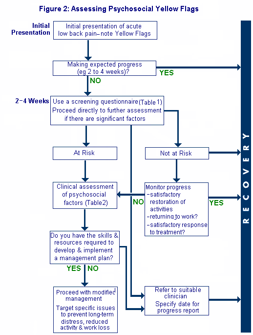 Fig2: Deciding how to assess Psychosocial Yellow Flags