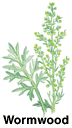 Wormwood