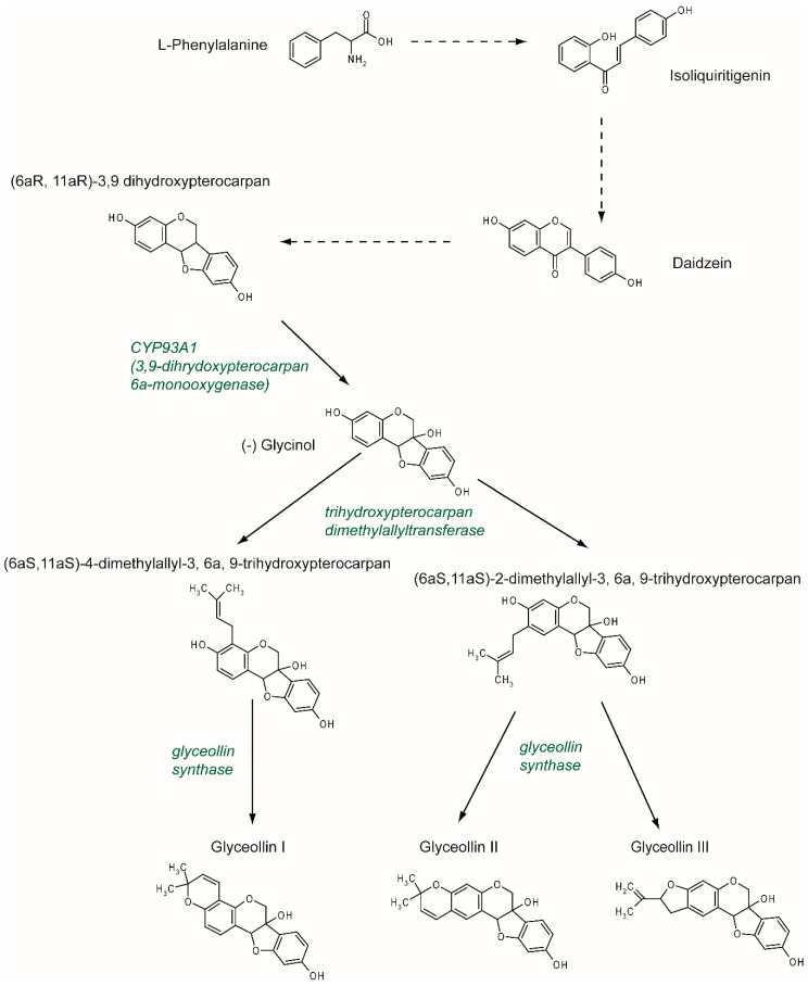 An external file that holds a picture, illustration, etc.
Object name is nutrients-11-00079-g002.jpg