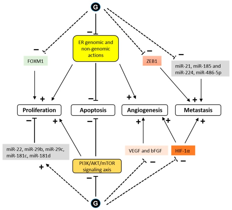 An external file that holds a picture, illustration, etc.
Object name is nutrients-11-00079-g004.jpg