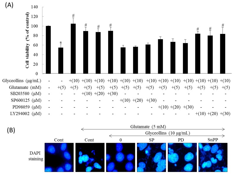 An external file that holds a picture, illustration, etc.
Object name is ijms-19-00268-g002.jpg